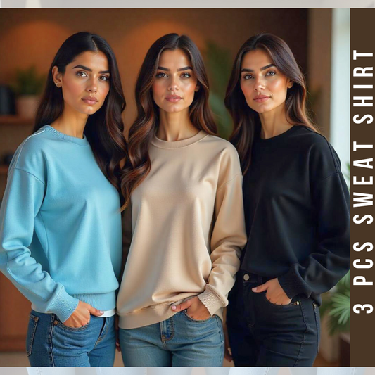 3 Pcs Premium SweatShirt Women For Winter (1134)