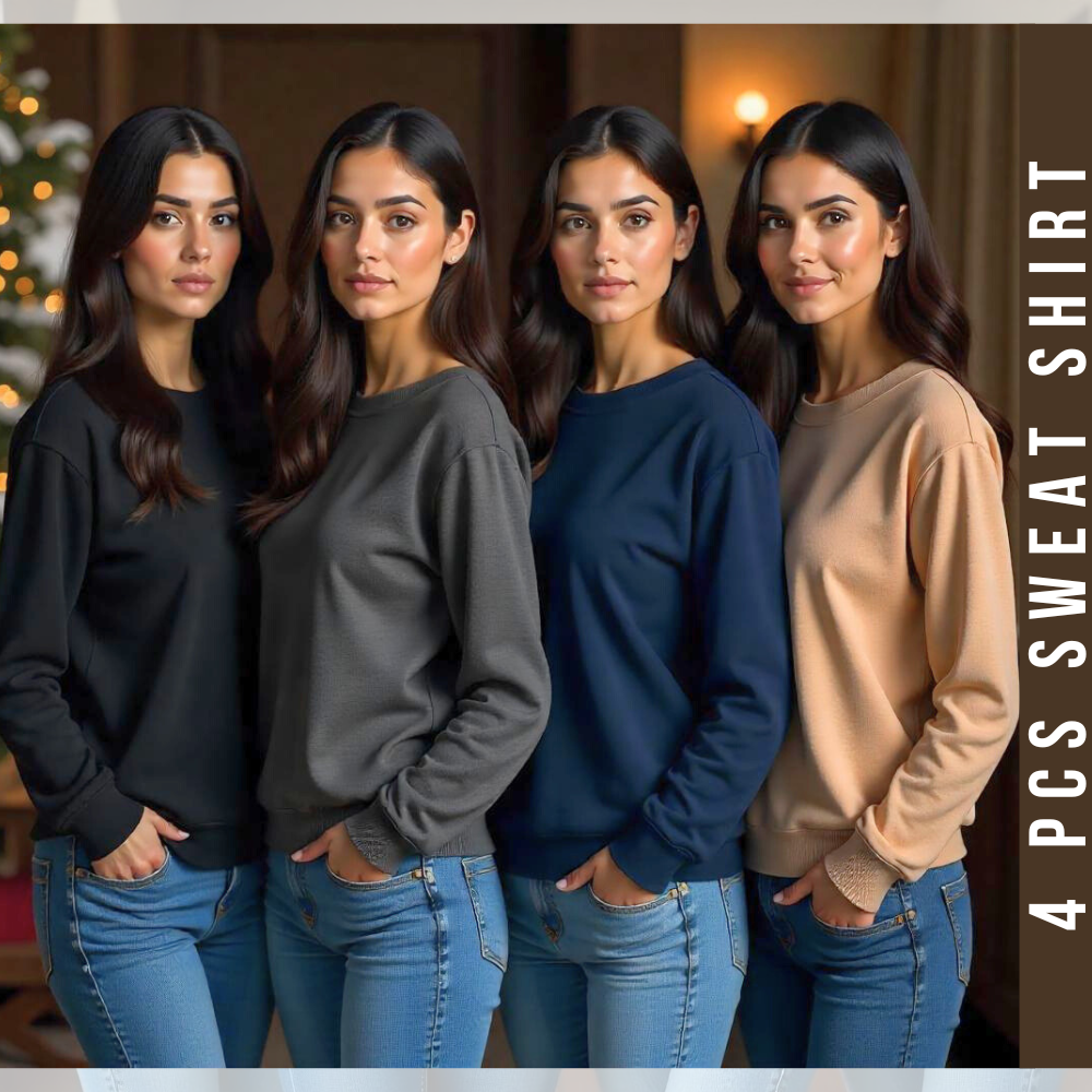 4 Pcs Premium SweatShirt Women For Winter (1131)