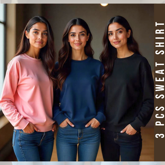 3 Pcs Premium SweatShirt Women For Winter (1133)